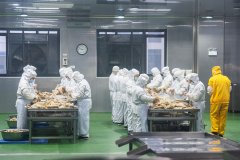 这两年都正在加鼎力度鞭策预制菜